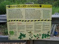 Matthaei Botanical Gardens 2010 0120
